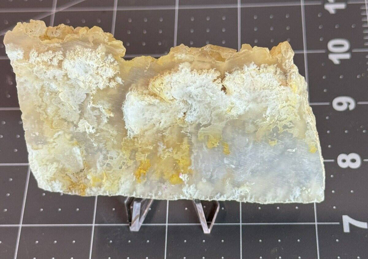 Graveyard Point Plume Agate Polished Display – Collectors Slab