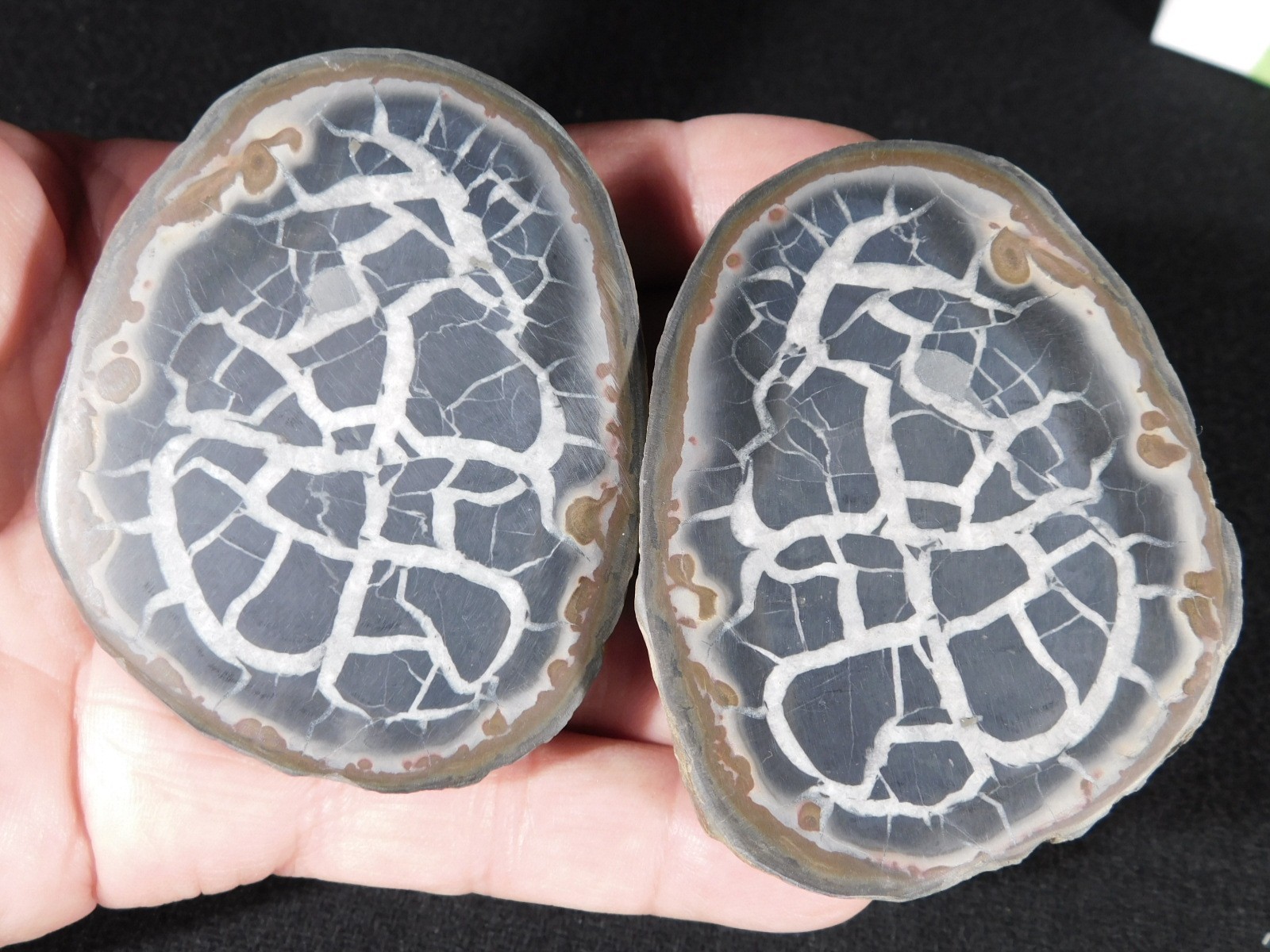 Neat! Lighting Like Pattern! Split and Polished SEPTARIAN Nodule Morocco 248gr