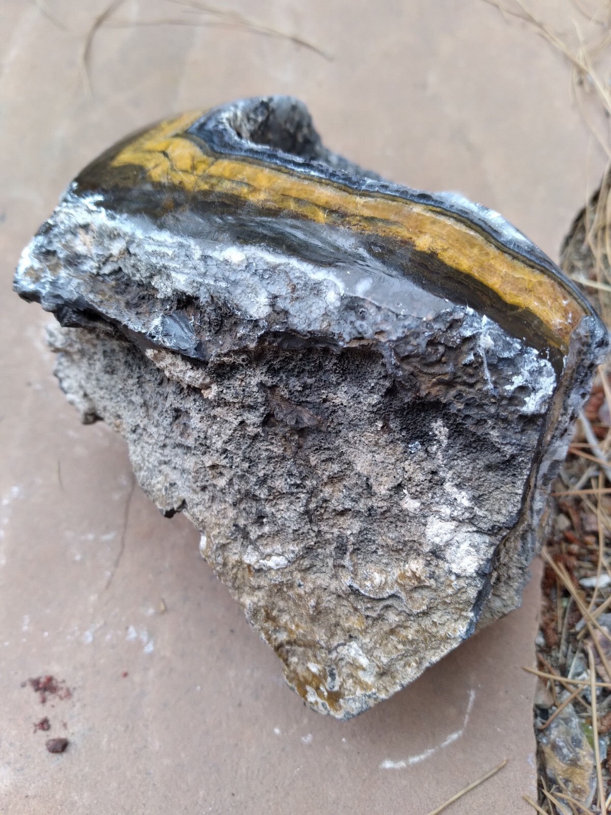 Black And Gold Specimen (New Mexico), 3 lbs & 8 ounces