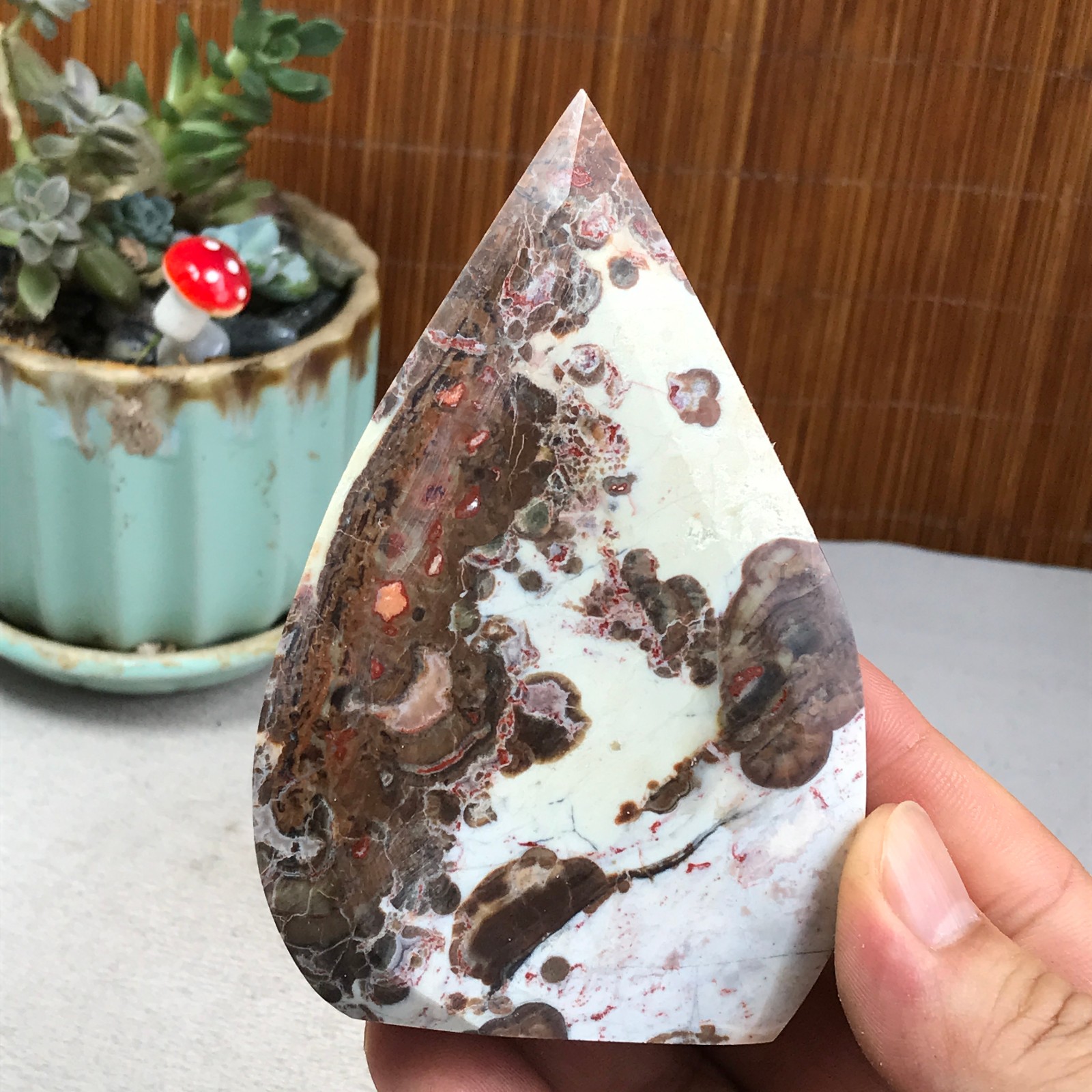 Natural money Mexico agate hand carve leaf Crystal Specimen free standing A6272