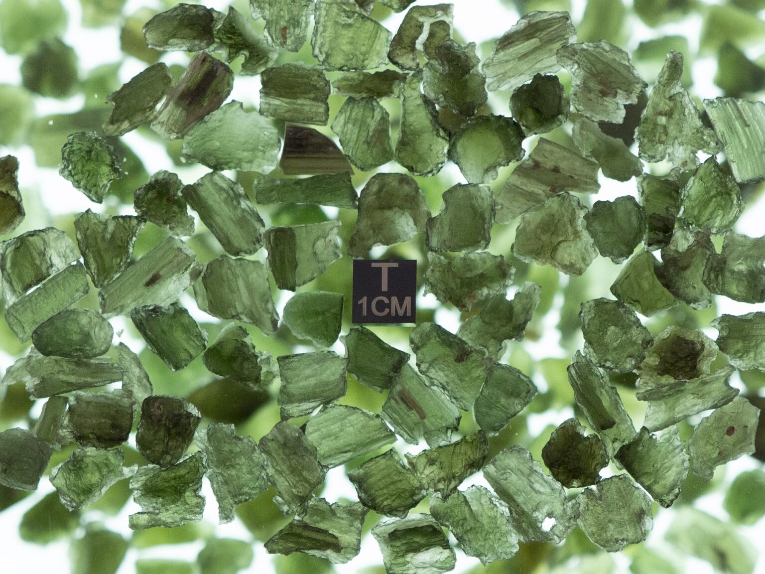 Authentic Raw Moldavite Impact Glass From The Czech Republic