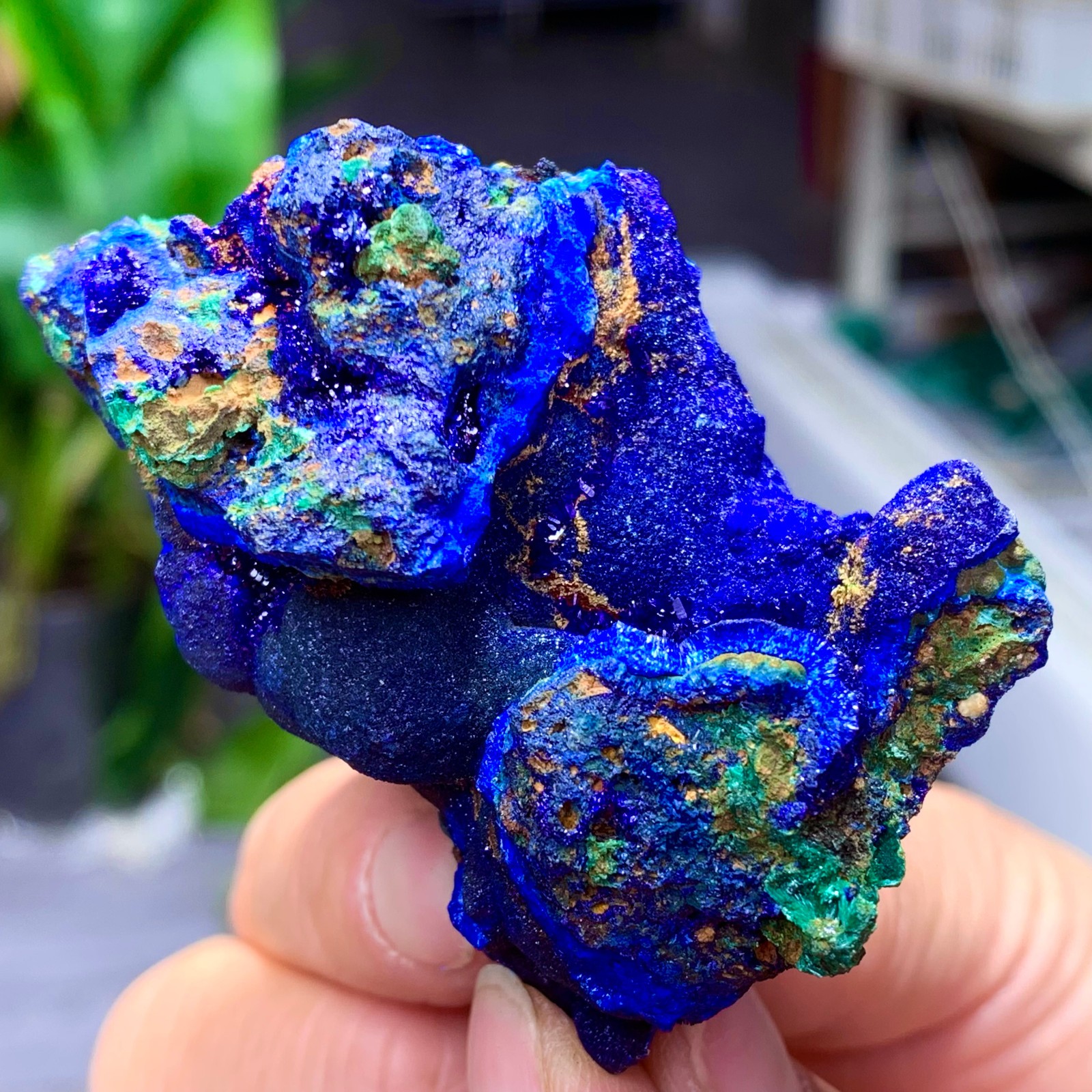 102G BEST Natural Azurite/Malachite crystal minerals specimens