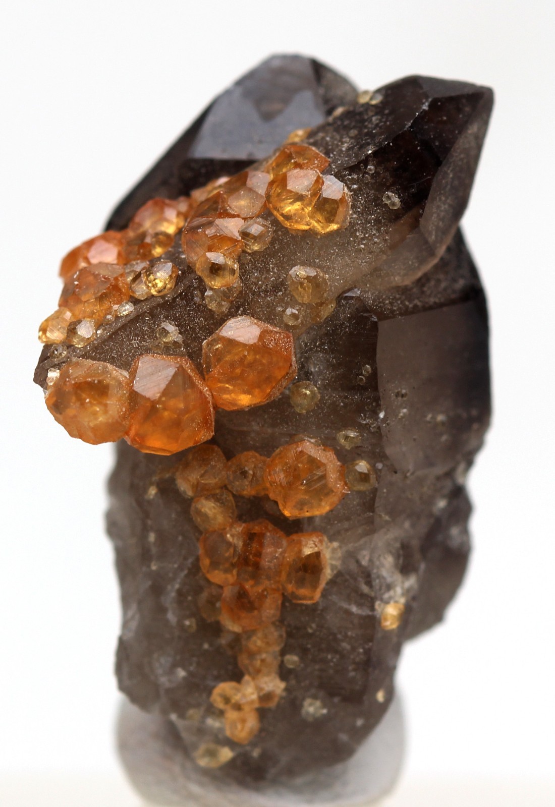 SPESSARTINE GARNET ON SMOKY QUARTZ Specimen Crystal Cluster Mineral CHINA