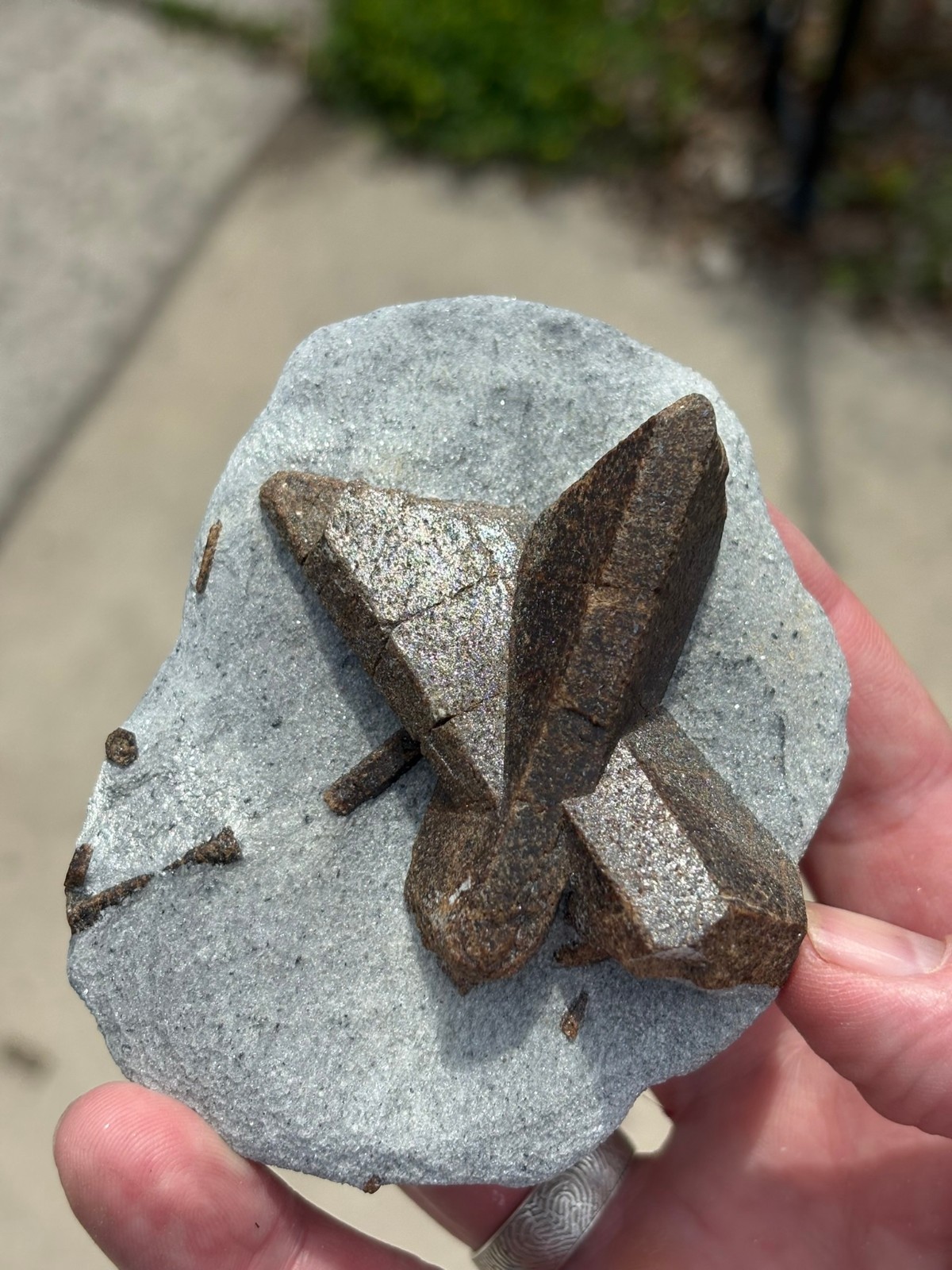 Staurolite, “fairy cross”, Keivy Mountains, Kola Peninsula, Russia
