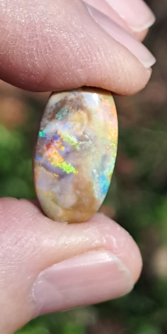 Large Multicolor Andamooka Hard Matrix Double Sided Carbonized Polished Colorful