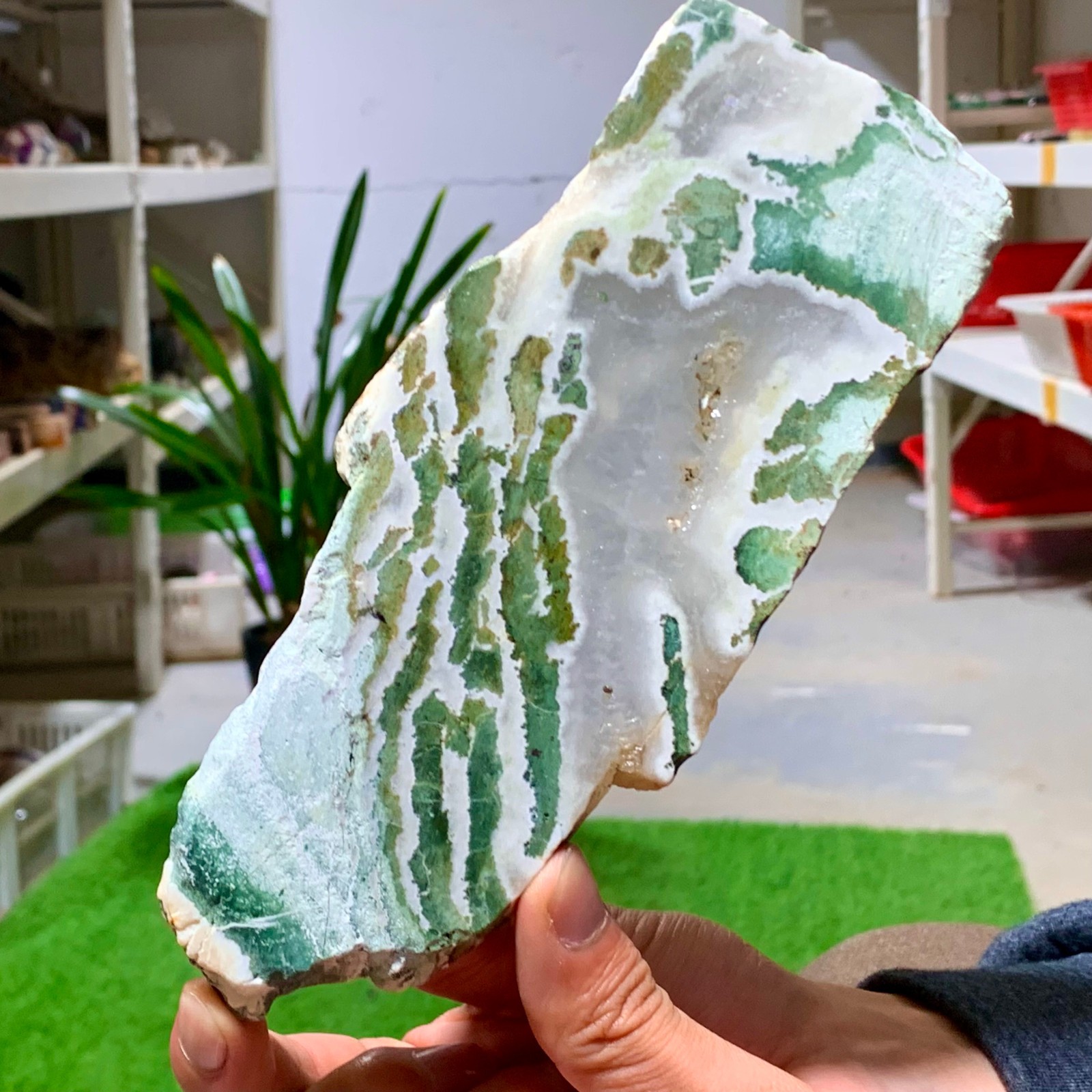 300G Natural green moss agate crystal raw stone flakes quart specimen