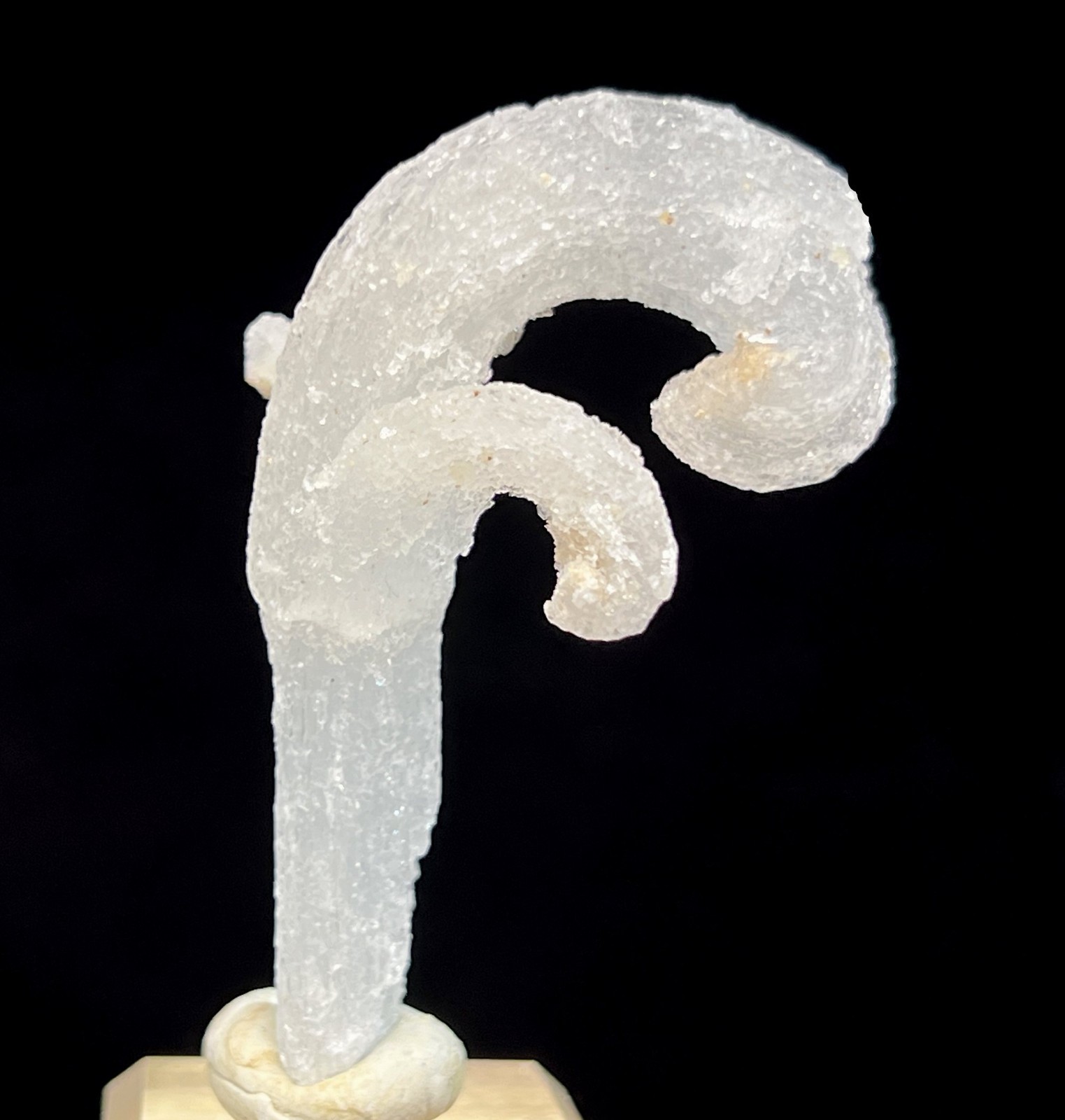 59mm ‘Ram’s Horn’ shape Selenite (Gypsum), Natural Mineral Specimen
