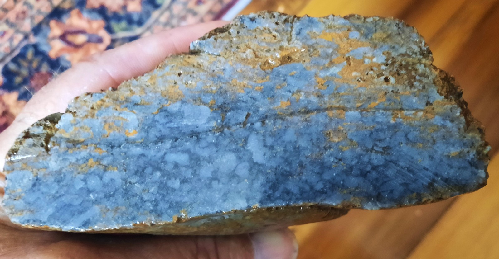 Blue Agatized Criniod Stems Bedrock from Southern Kentucky. 4355 Carats
