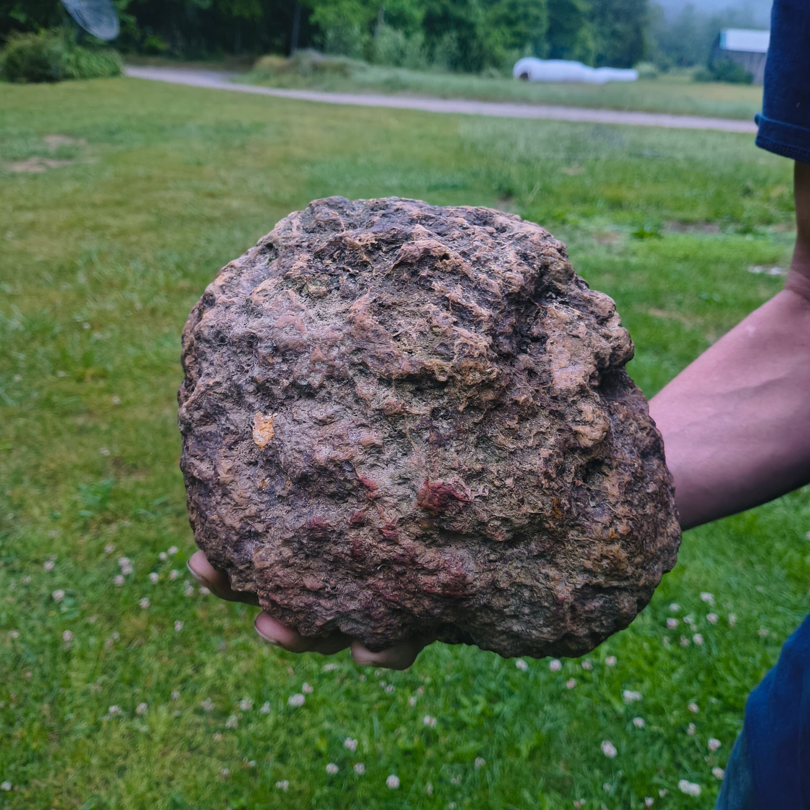 20.6 lb Unopened Kentucky Geode Break Your Own Large Quartz Crystal Hand Picked