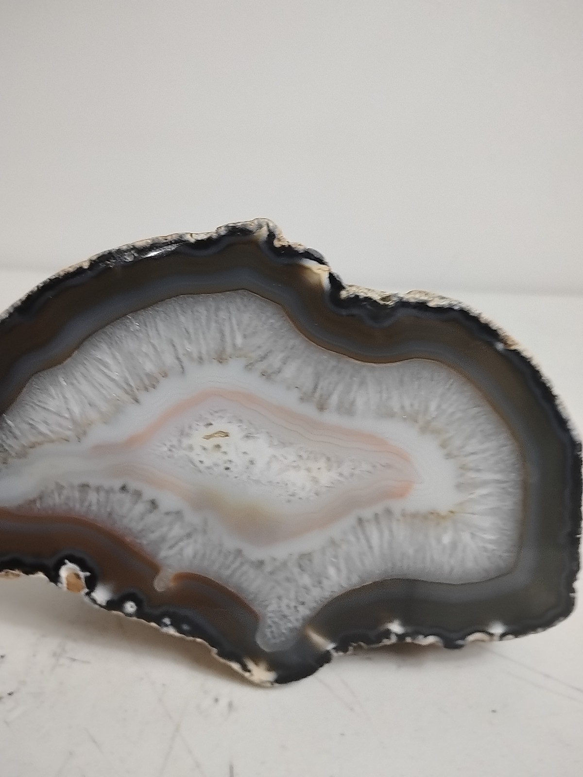 Geode Half Cut and Polished Origin Unknown White/Brown/Dark Brown – SEE PICS!!!