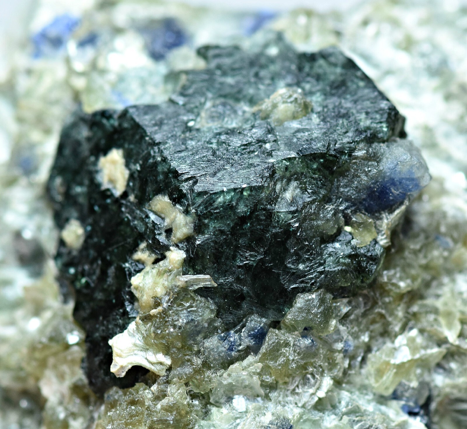 179 Gram Rare Dravite Tourmaline Crystals with Sapphire Crystals On Mica Matrix