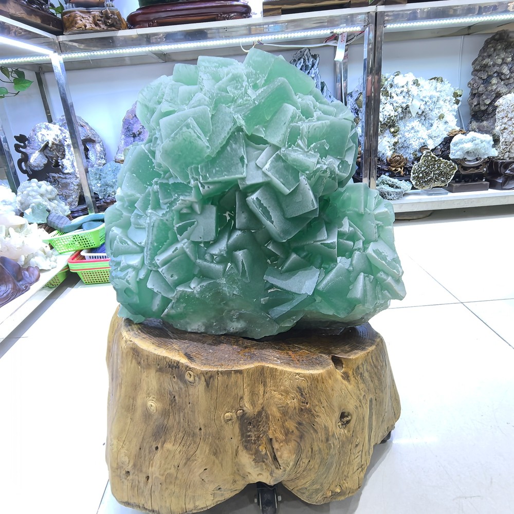 110LB Top Natural Green Fluorite Quartz Cluster Crystal Mineral Specimen + stand