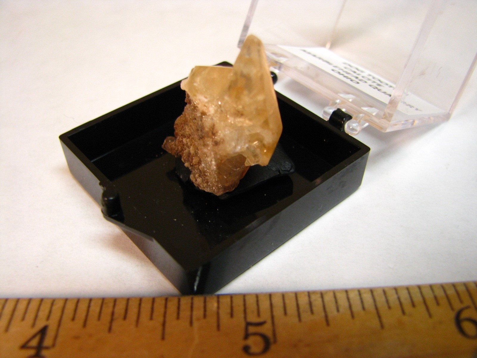 GOLDEN DOGTOOTH CALCITE CLUSTER THUMBNAIL IN CASE MARBLEHEAD QUARRY OHIO #224