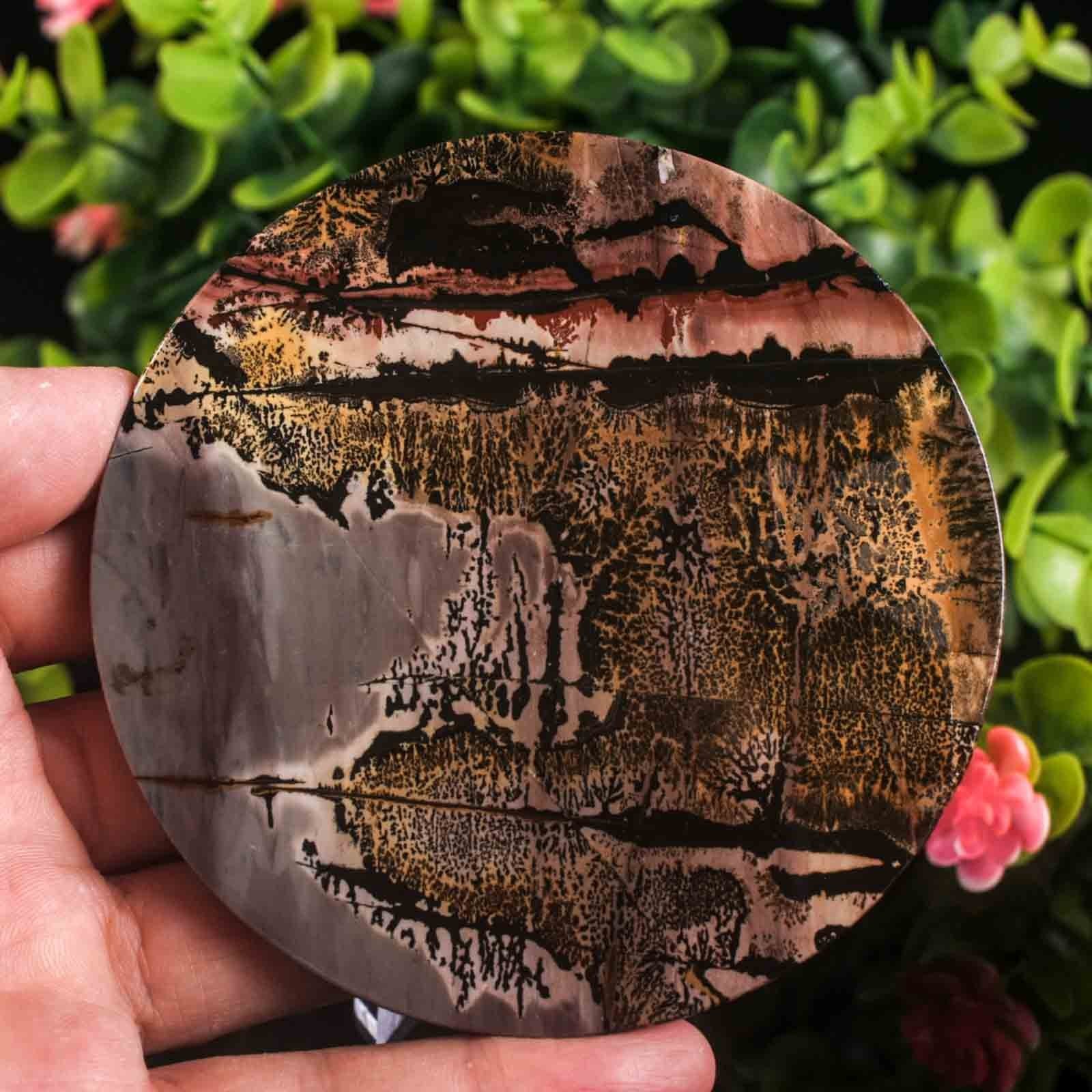 Picture Jasper Slab Natural Stone Display Crystal Specimen w/Stand 3.7″ 4.4oz