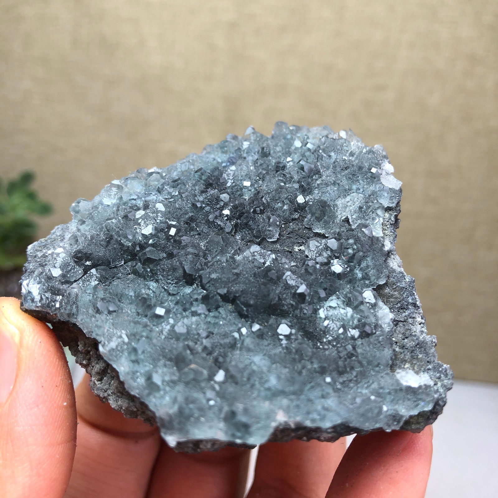 97g NATURAL Green Cubic FLUORITE Crystal Cluster Mineral Specimen A4736