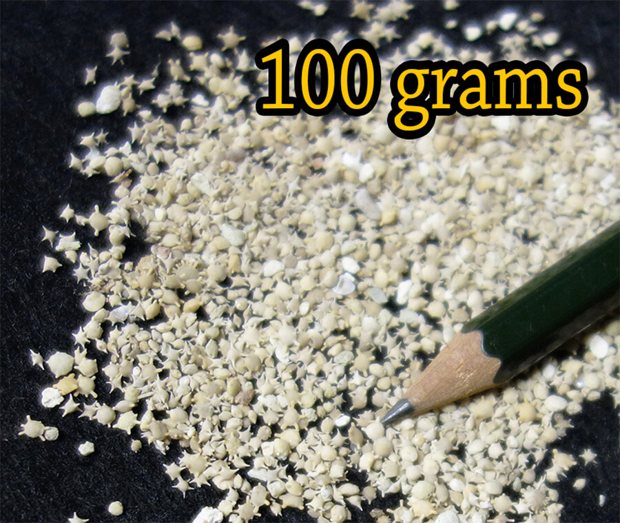 100 grams (3.52oz) – Natural Star Sand Sun Sand from Okinawa Japan beach