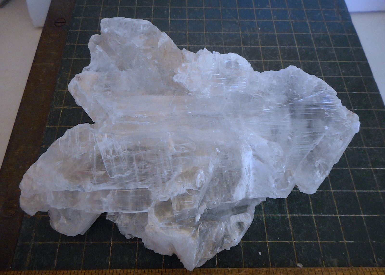 Fish Tail Selenite. Natural. Gypsum Specimen. 6.5″ (165mm). 1 pound 6 ounces