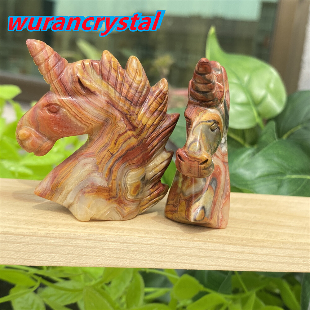 1pc Natural crazy agate unicorn skull quartz crystal carved reiki healing 2”