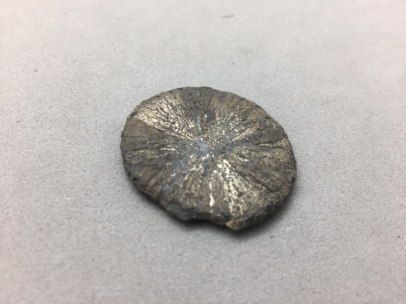 Pyrite Sun Miners Dollar 1 1/4″ Southern Illinois Coal Mine Mineral Specimen IL