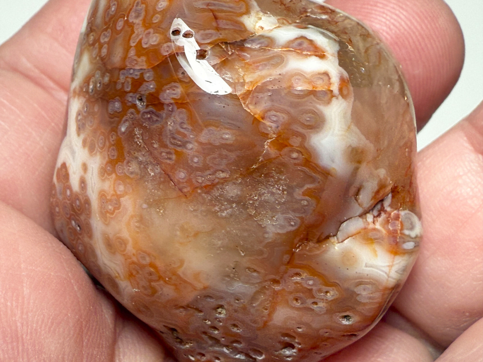 2.0 oz Michigan Minnesota Lake Superior Agate LSA #18 EYES BANDS (polished