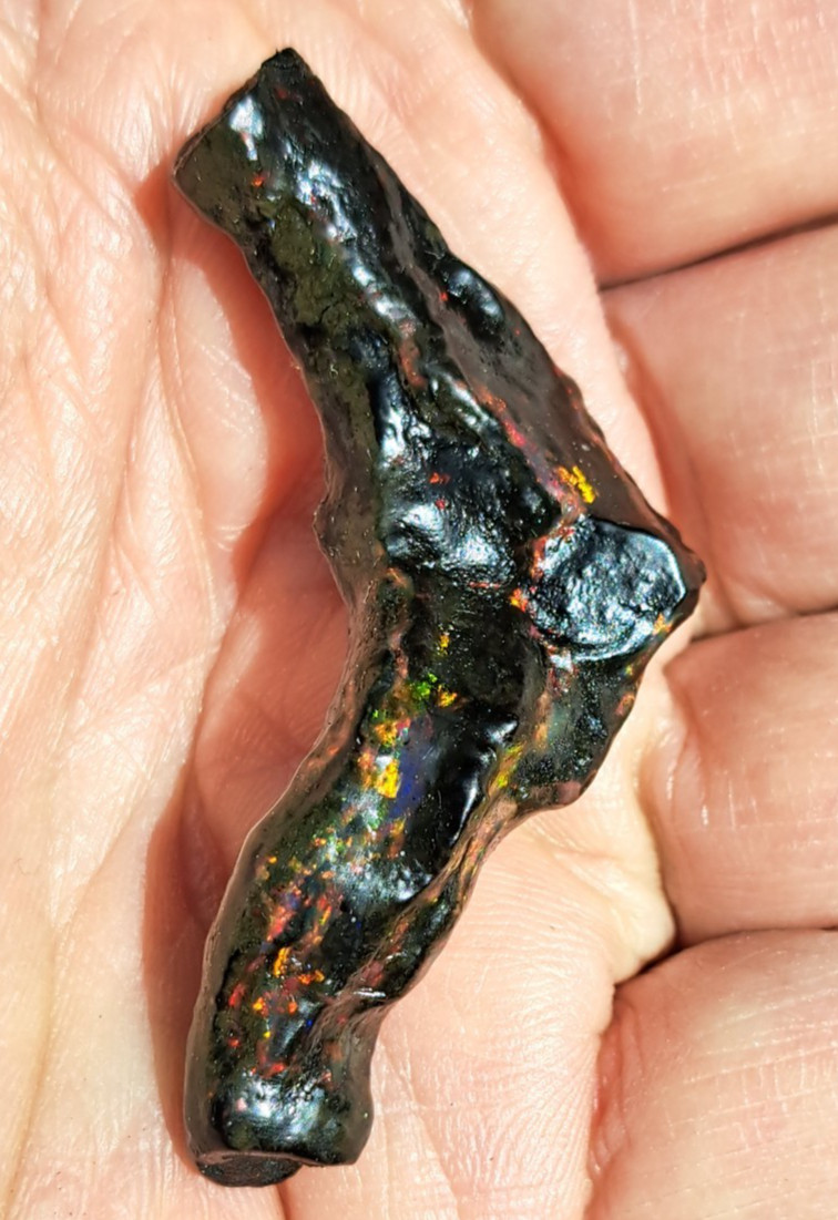 Huge Multicolor 38.52ct Indonesian Wood Opal Fossil Red, Green, & Yellow Flashes