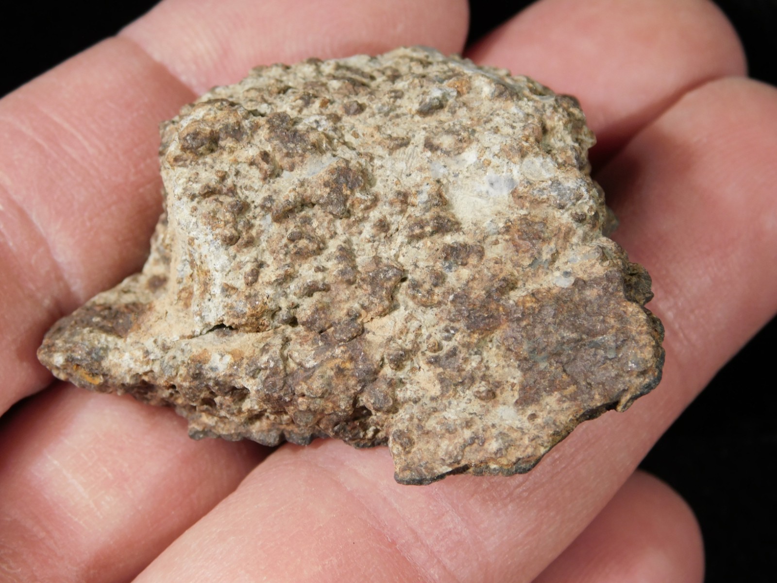 Classified NWA 8245 METEORITE 100% Natural FELL on Erfoud, Morocco 47.3gr