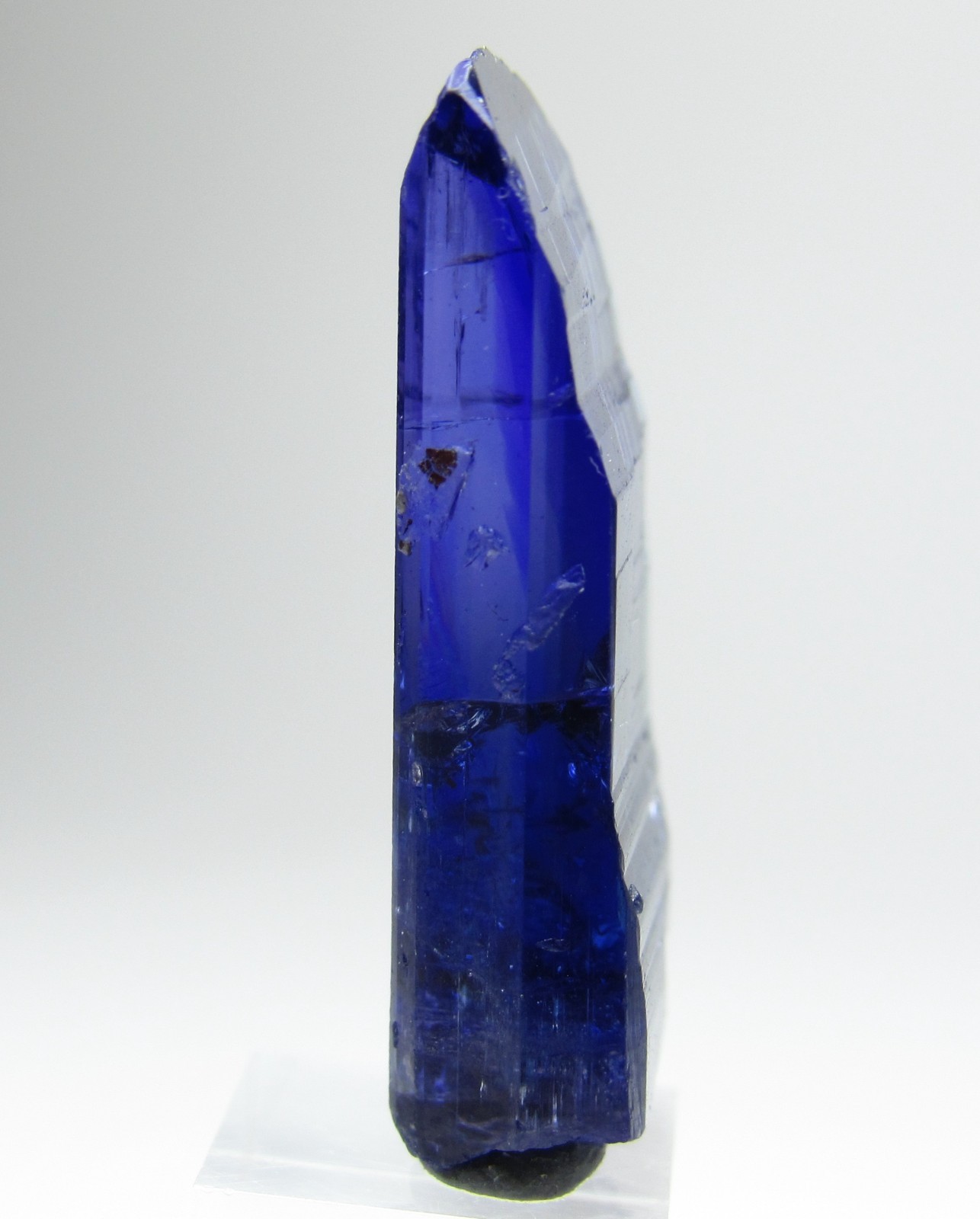 REMARKABLE CLARITY UNHEATED GEM TANZANITE CRYSTAL!!! TANZANIA