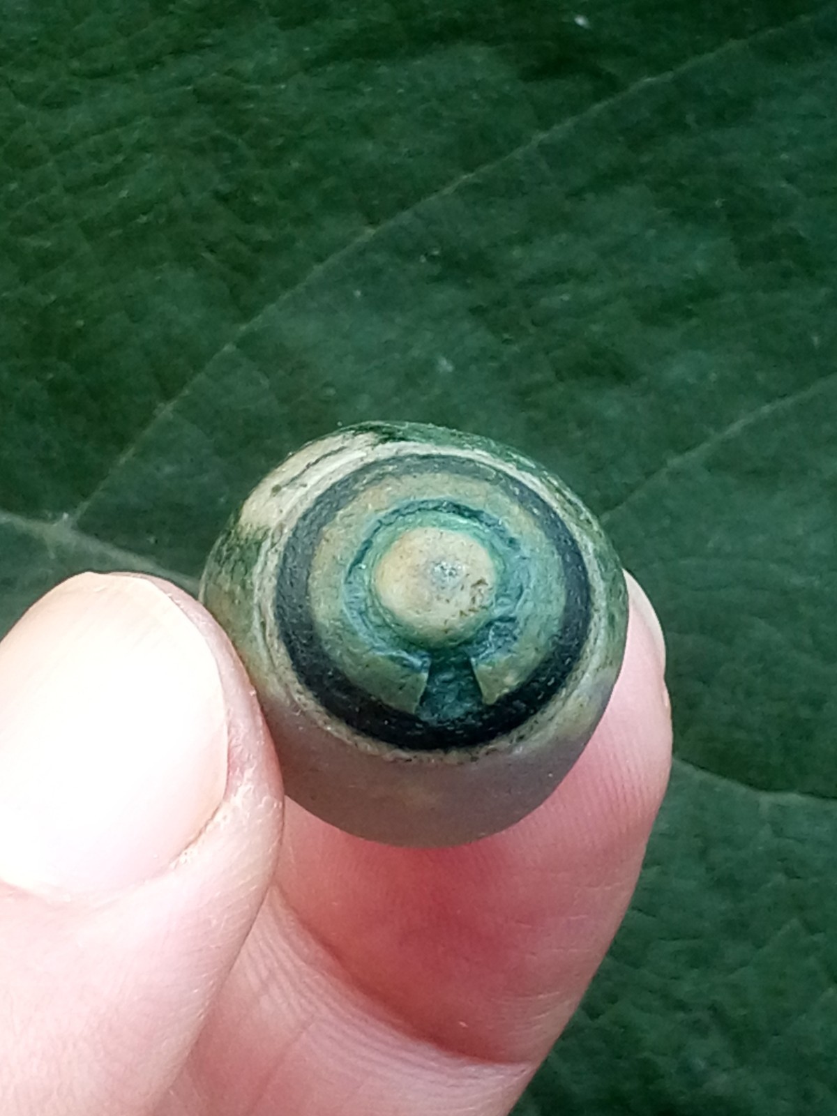 36mm Natural Gobi agate eye agate stone Suiseki-viewing collection china