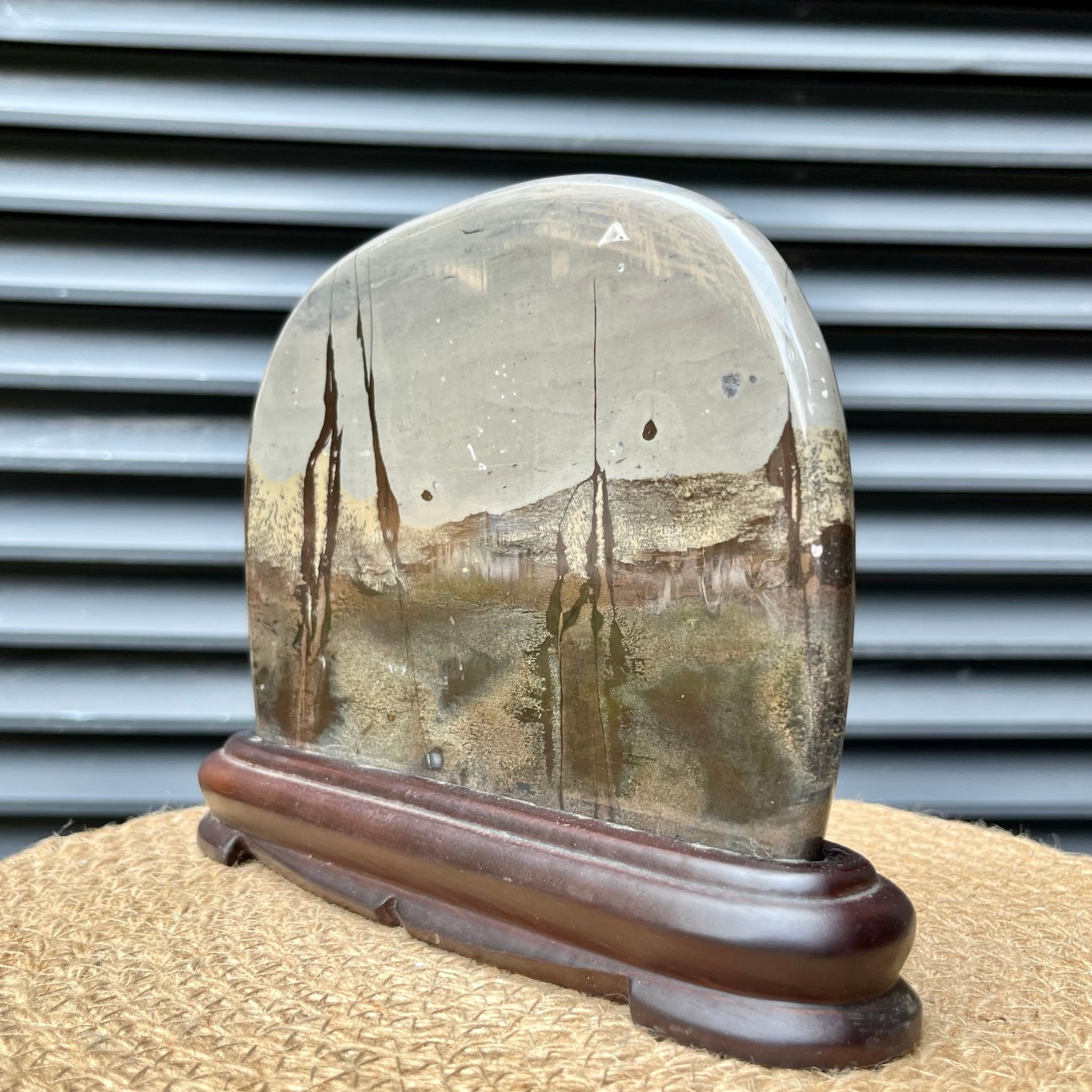 Polished Scenic Stone Natural Pattern Display Art Home Decor 4.7 lb
