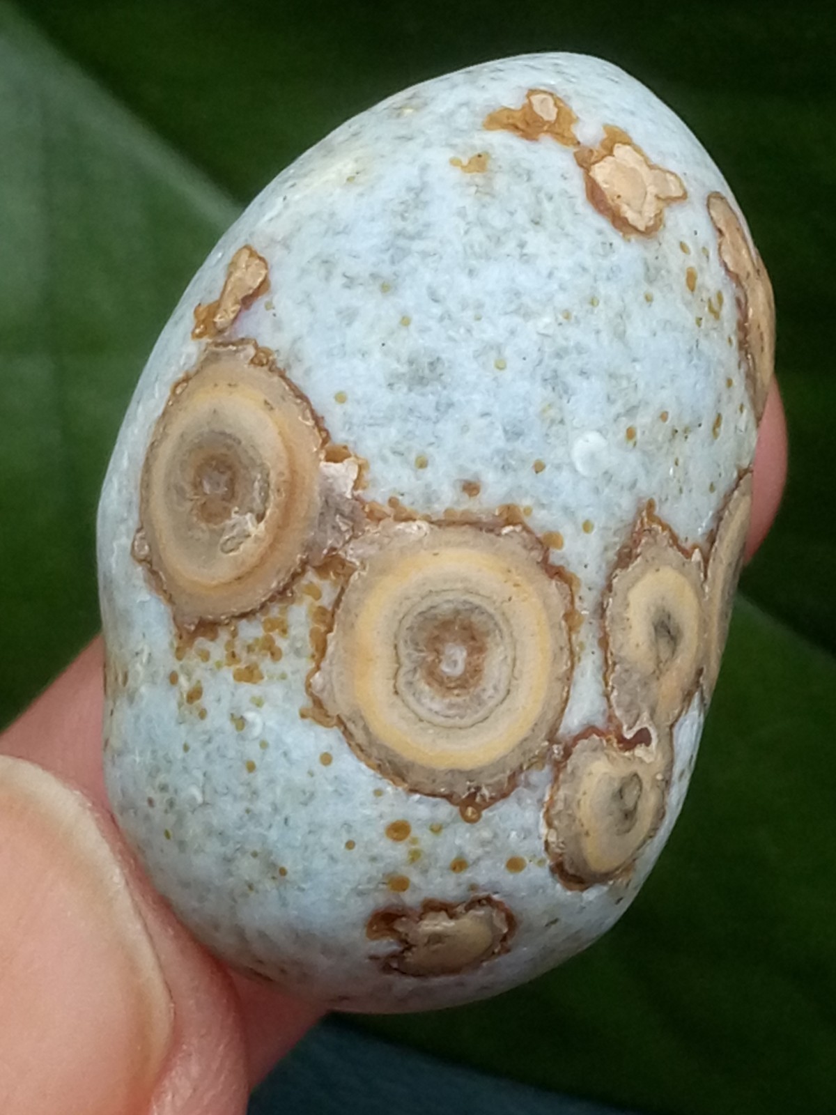 36mm Beautiful Natural Gobi agate eye agate stone collection
