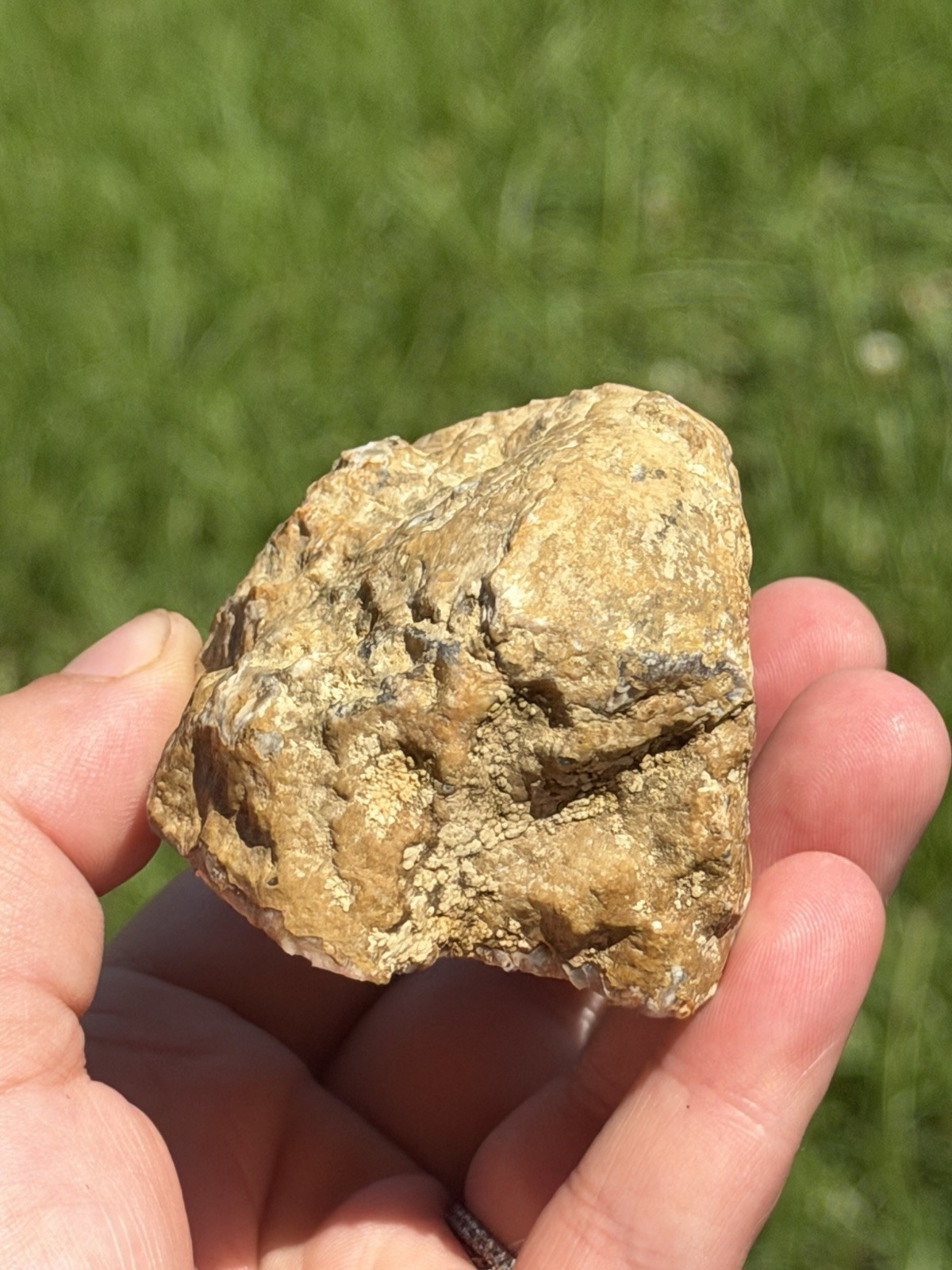 Vibrant Kentucky Agate Specimen – Irvine, KY | Rich Yellow, Red, & Smoky Purple