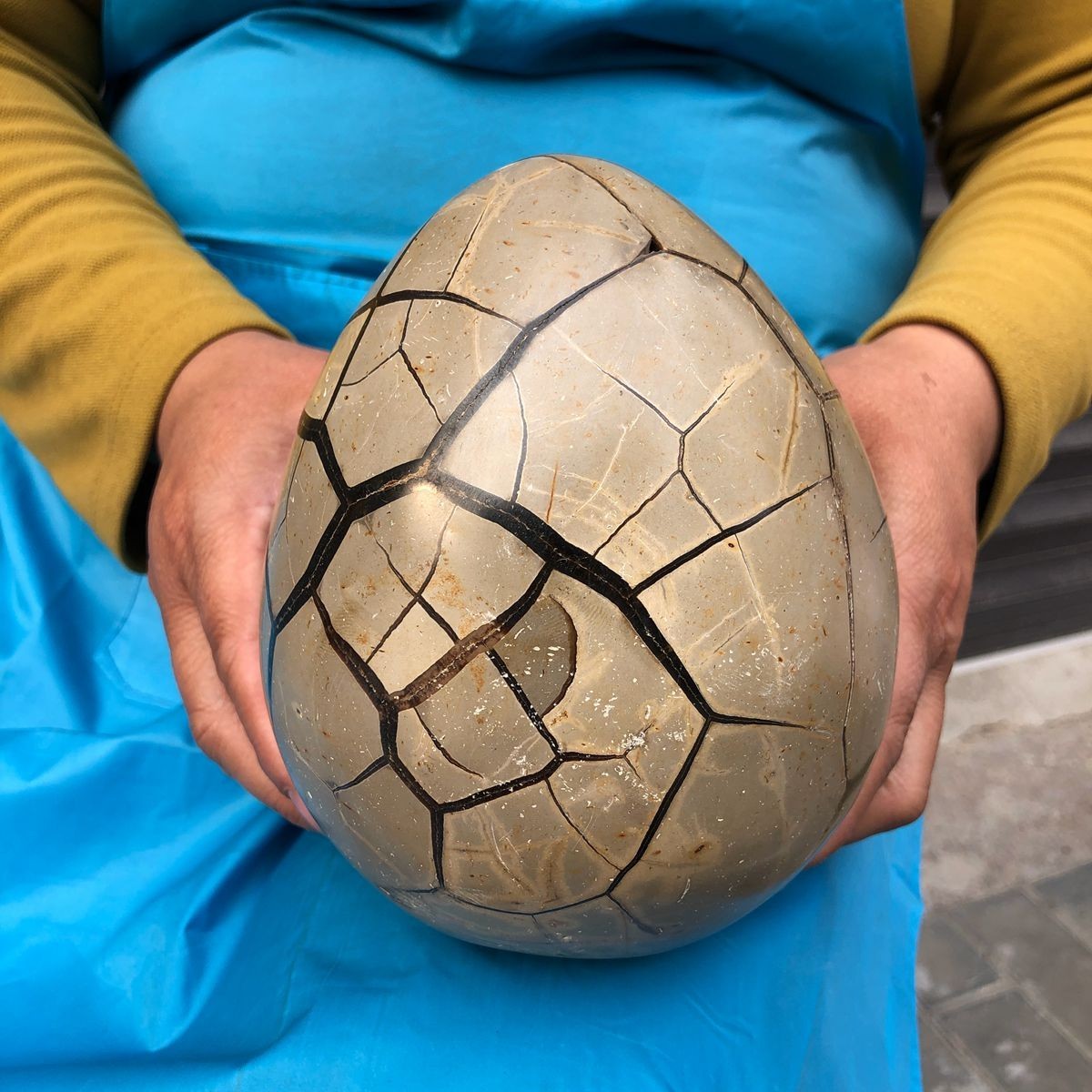 7.23LB Natural Septarian Dragon Egg Geode with Lid Reiki Energy Healing Crystal
