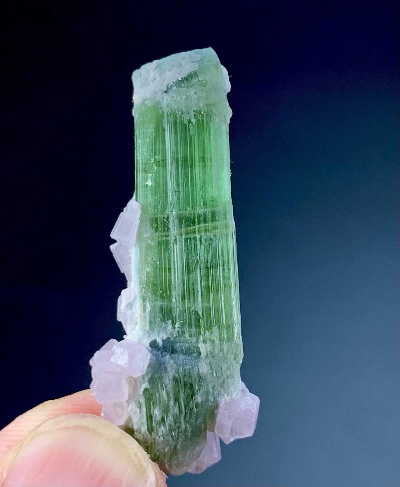 36 Ct Apatite Crystals Cluster On Tourmaline Matrix Specimen Afghanistan
