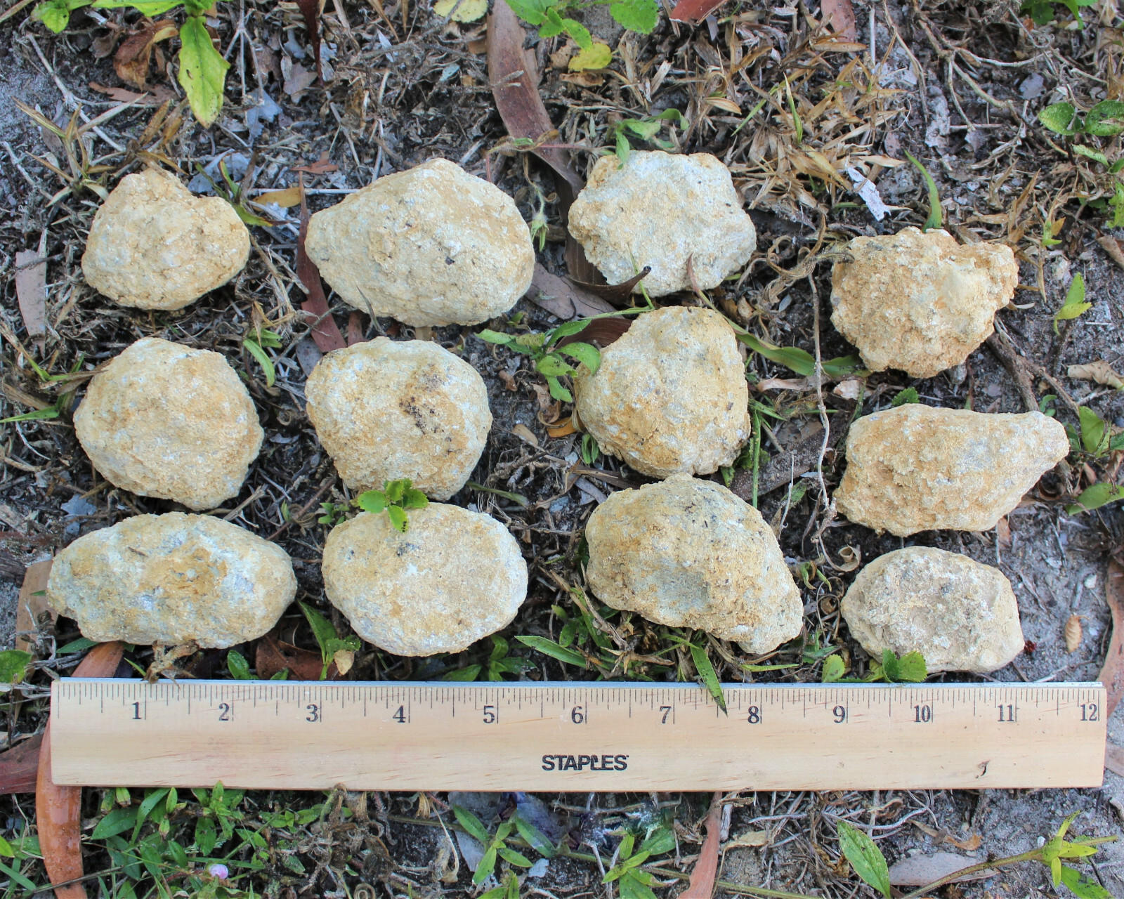20 Break Crack Open Your Own Whole Quartz Geodes (Unopened Crystals)