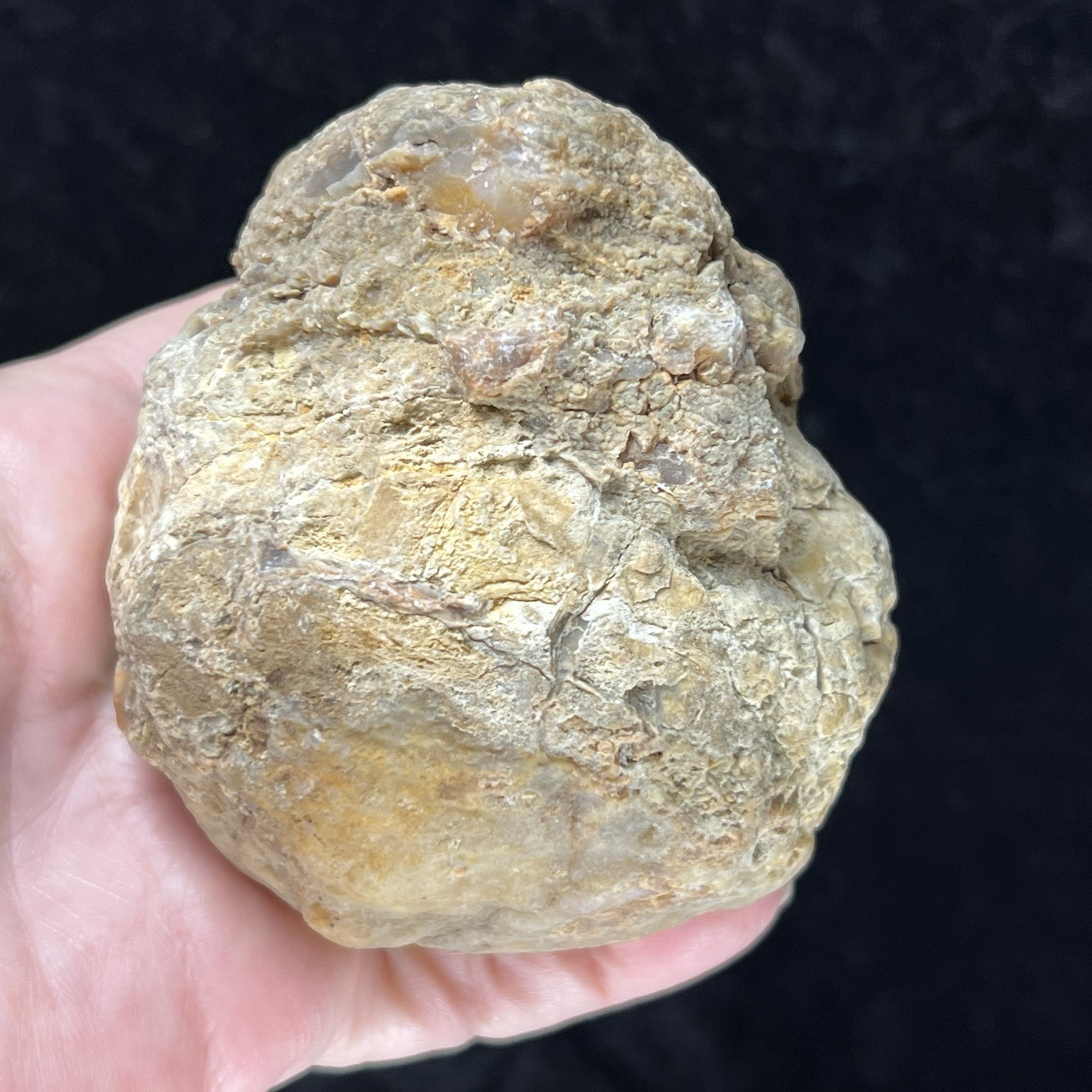 Unopened Geode Crystal Quartz Rattler Whole Uncut Break Your Own 1.4Lb