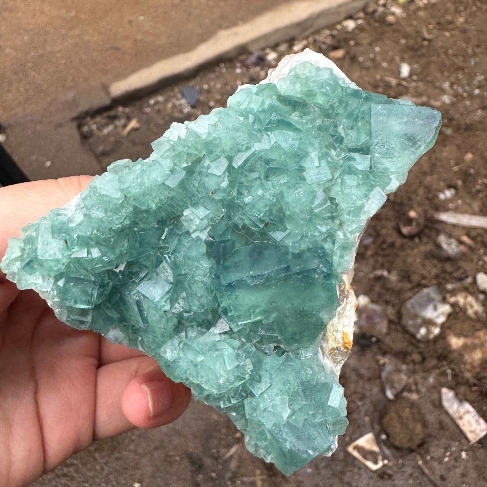 340G Natural cubic green fluorite crystal cluster rough mineral specimen Healing