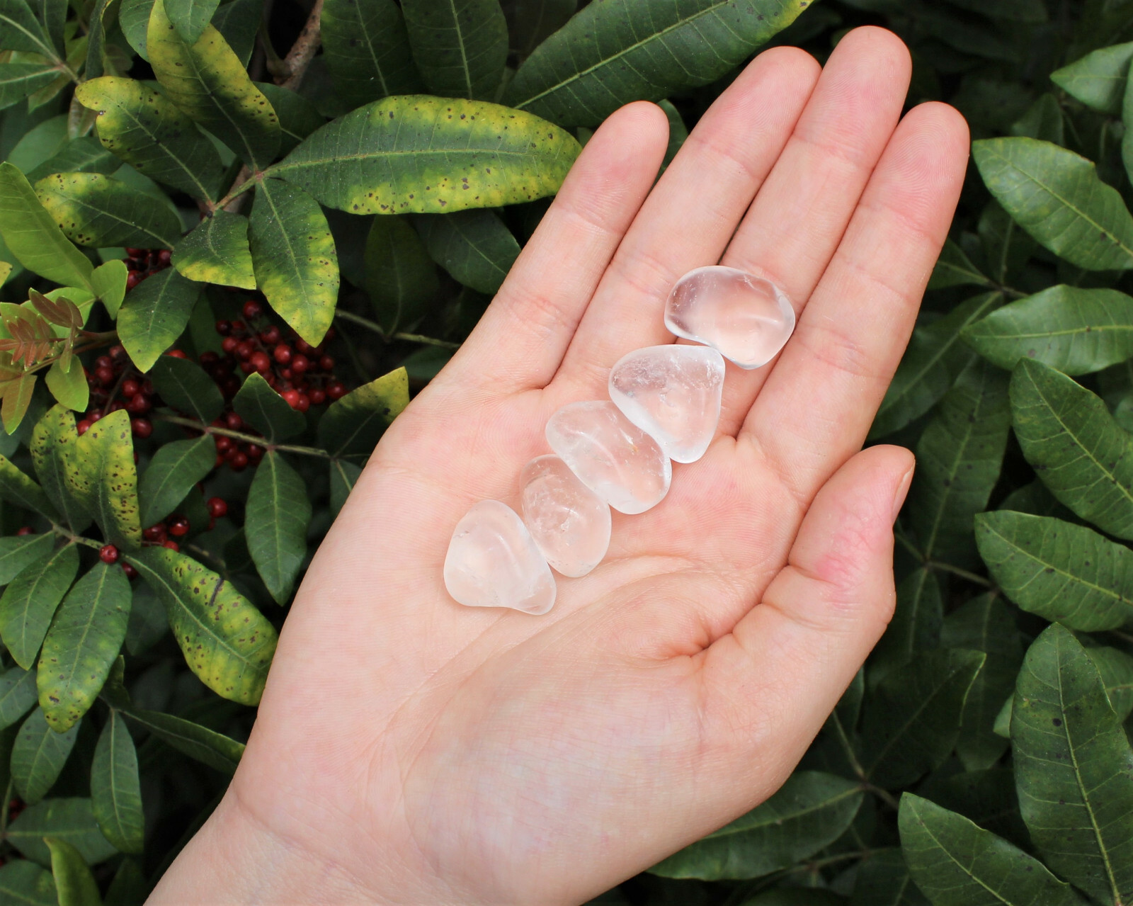 5 lb Lot Clear Quartz Tumbled Stones: Wholesale Bulk Lot (Crystal Healing)