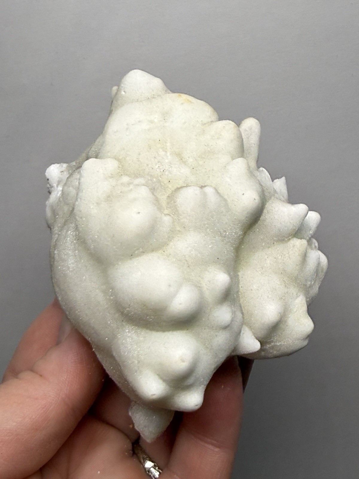 Superb White Flos Ferri Aragonite “Flower of Iron” | Lom Vitošov, Czech Republic
