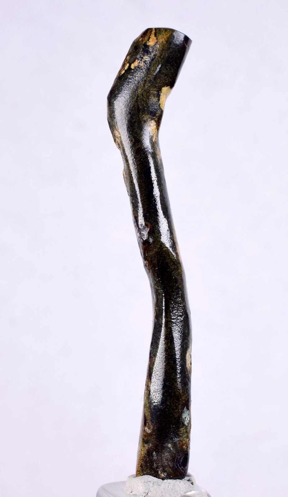 5.4cms GOLDEN BLACK CORAL Polished Peru Natural Branch Sea Genuine Cabochon VE73