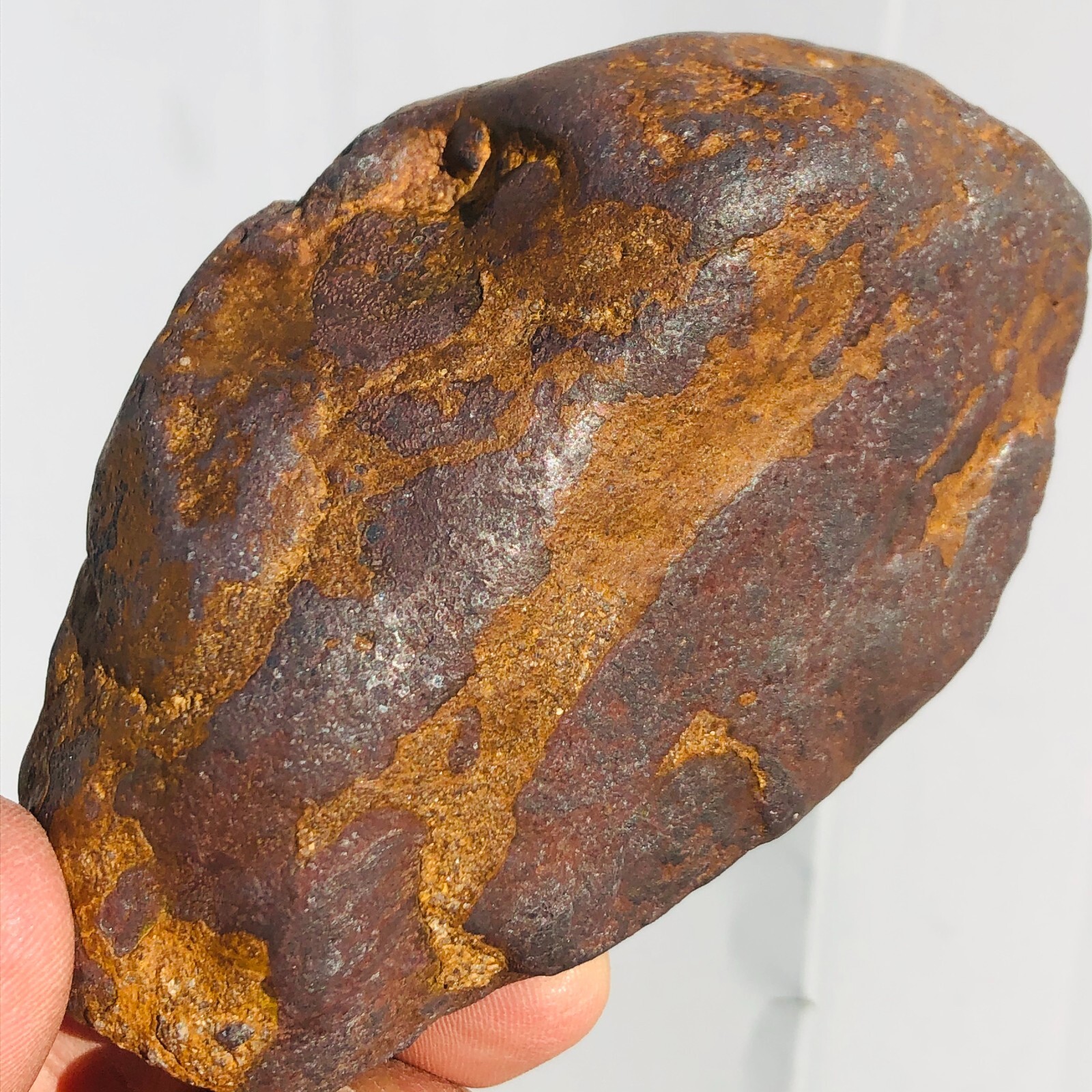 1.62lb STONY IRON H CHONDRITE METEORITE Polished Carved Space Rock Specimen
