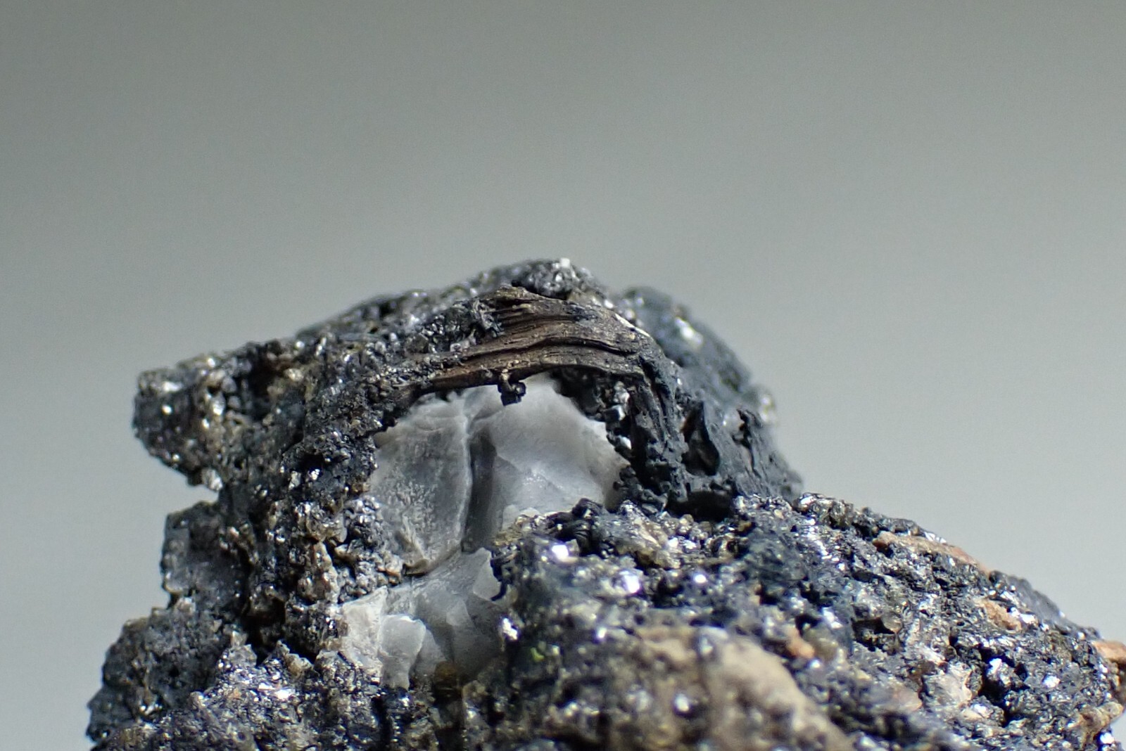 SILVER * WIRES ON CALCITE + GALENA * RARE LOCALITY !!! Trebsko, CZECH REPUBLIC