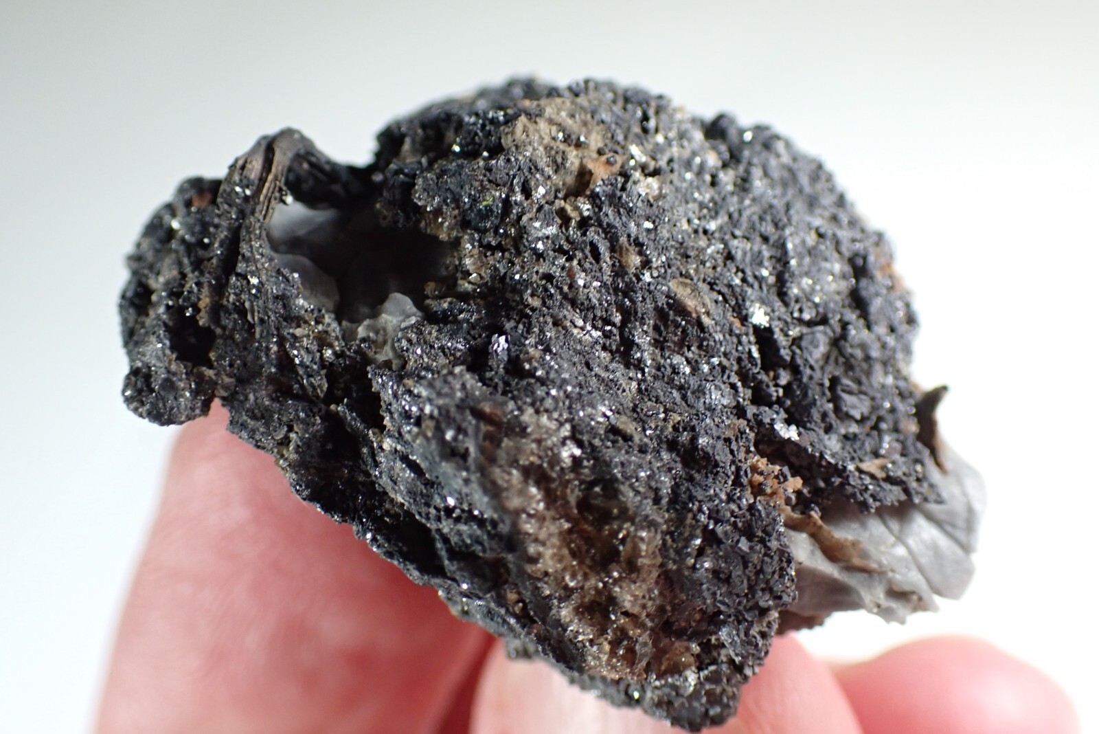 SILVER * WIRES ON CALCITE + GALENA * RARE LOCALITY !!! Trebsko, CZECH REPUBLIC