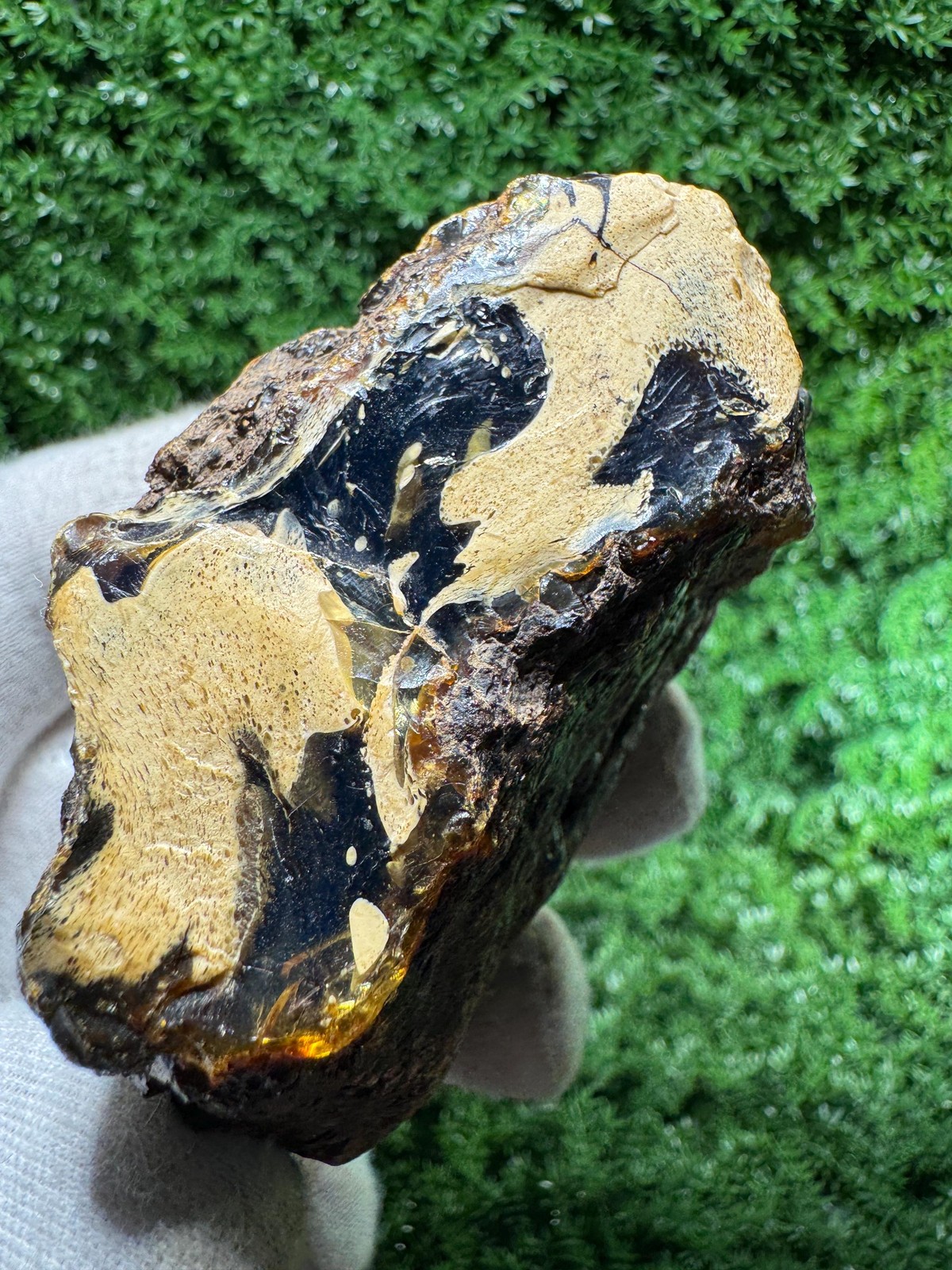 Beauty! Natural BLUE AMBER from Indonesia! UV reactive, / N376