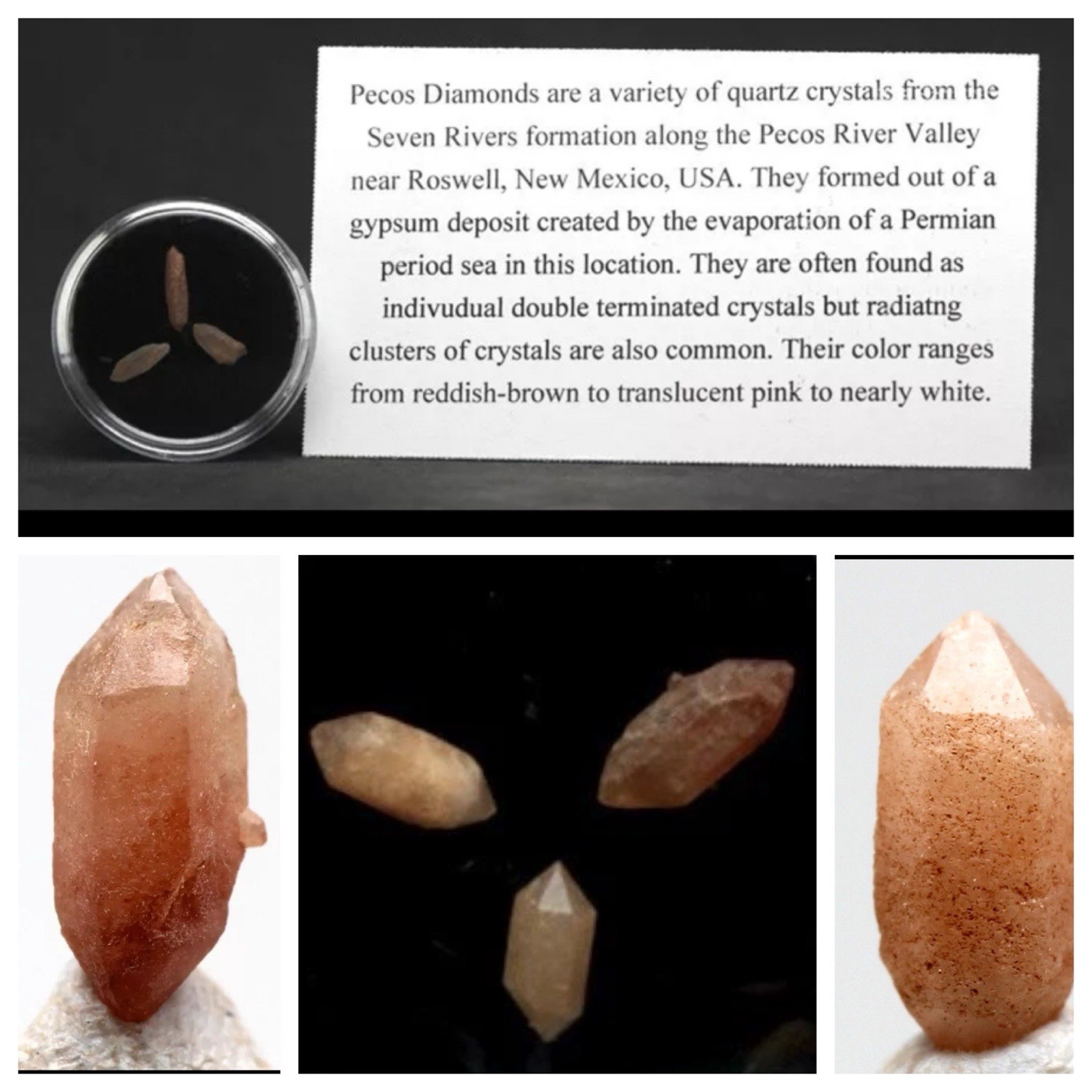 PECOS DIAMOND QUARTZ Specimen Crystal Cluster Mineral NEW MEXICO 3PCS w/ ID card