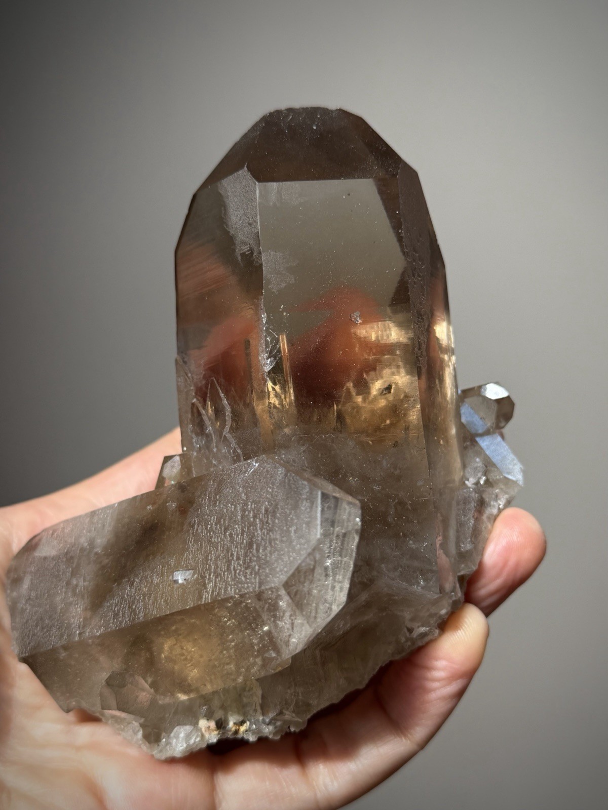 Diamantina Quartz Crystal Starbrary Quartz Natural Smoky Quartz Brazil Crystal