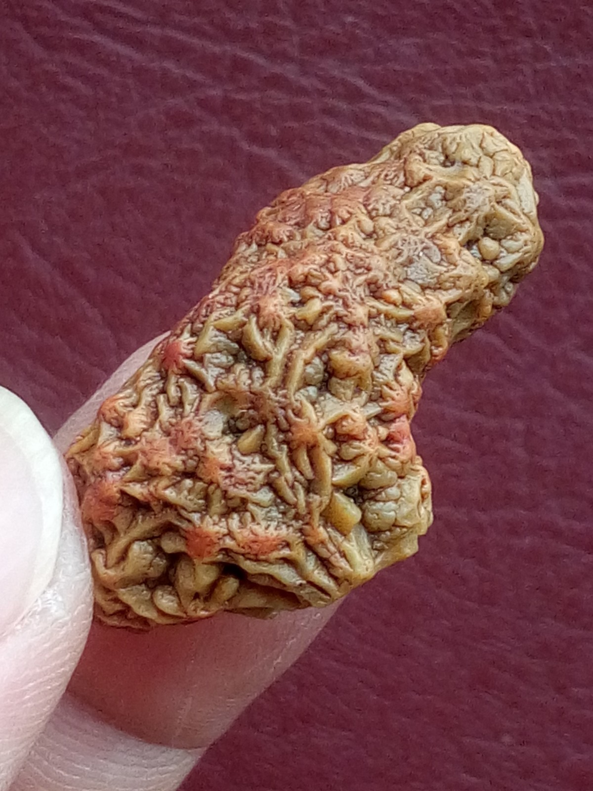 5 pieces Beautiful Natural GoBi agate veins agate Landscape stone
