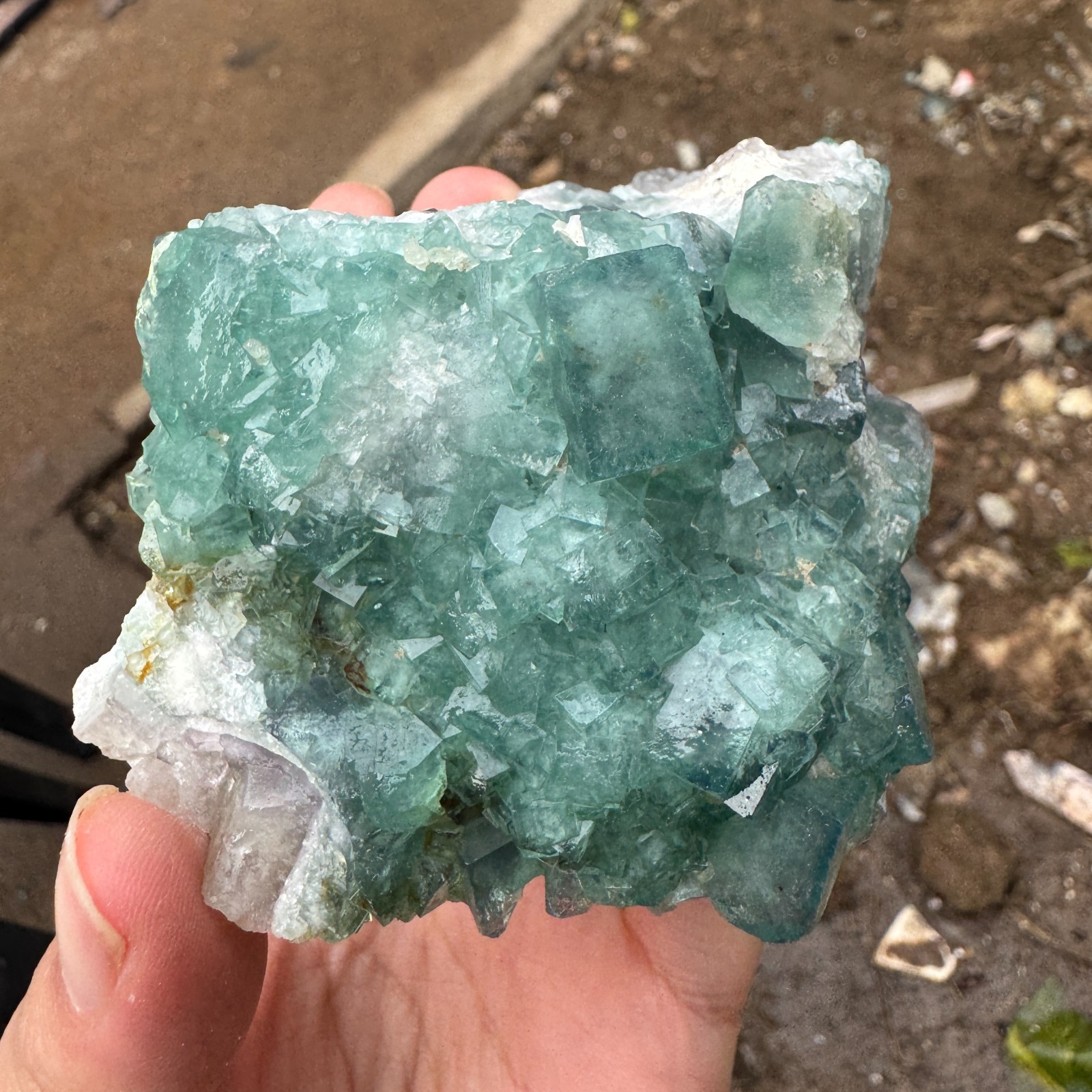 230G Natural cubic green fluorite crystal cluster rough mineral specimen Healing