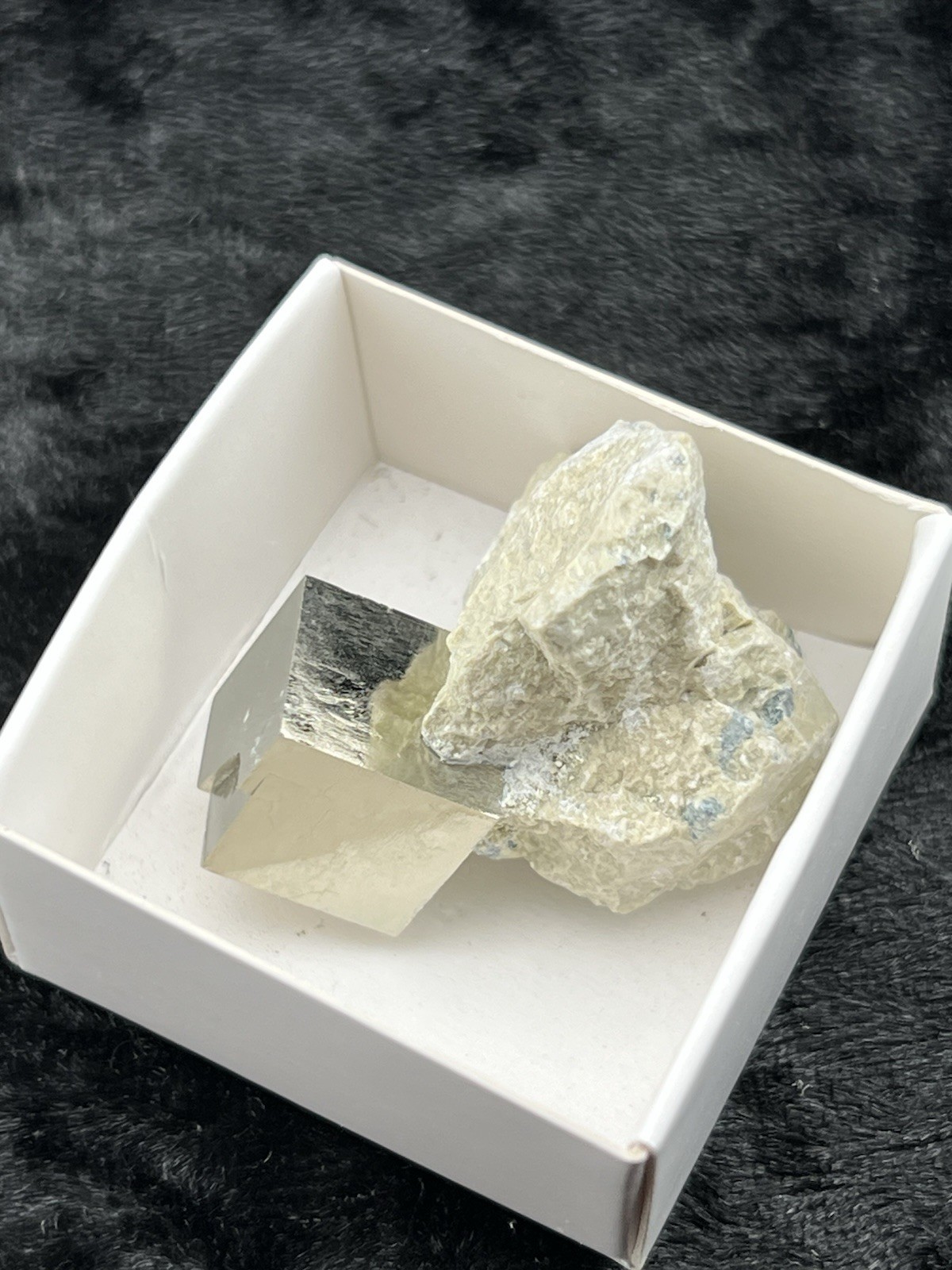 Pyrite Cube on Limestone Matrix from Mina Ampliación A Victoria, Navajún, Spain.