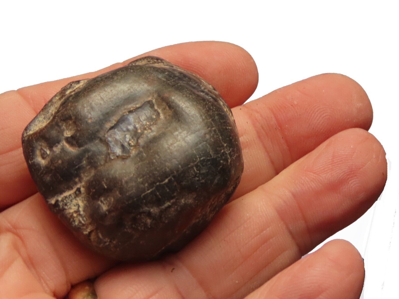 Meteorite @ 40 grs