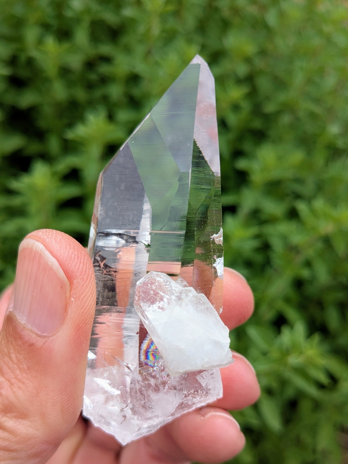 Lemurian Quartz Crystal – Penas Blancas, Colombia